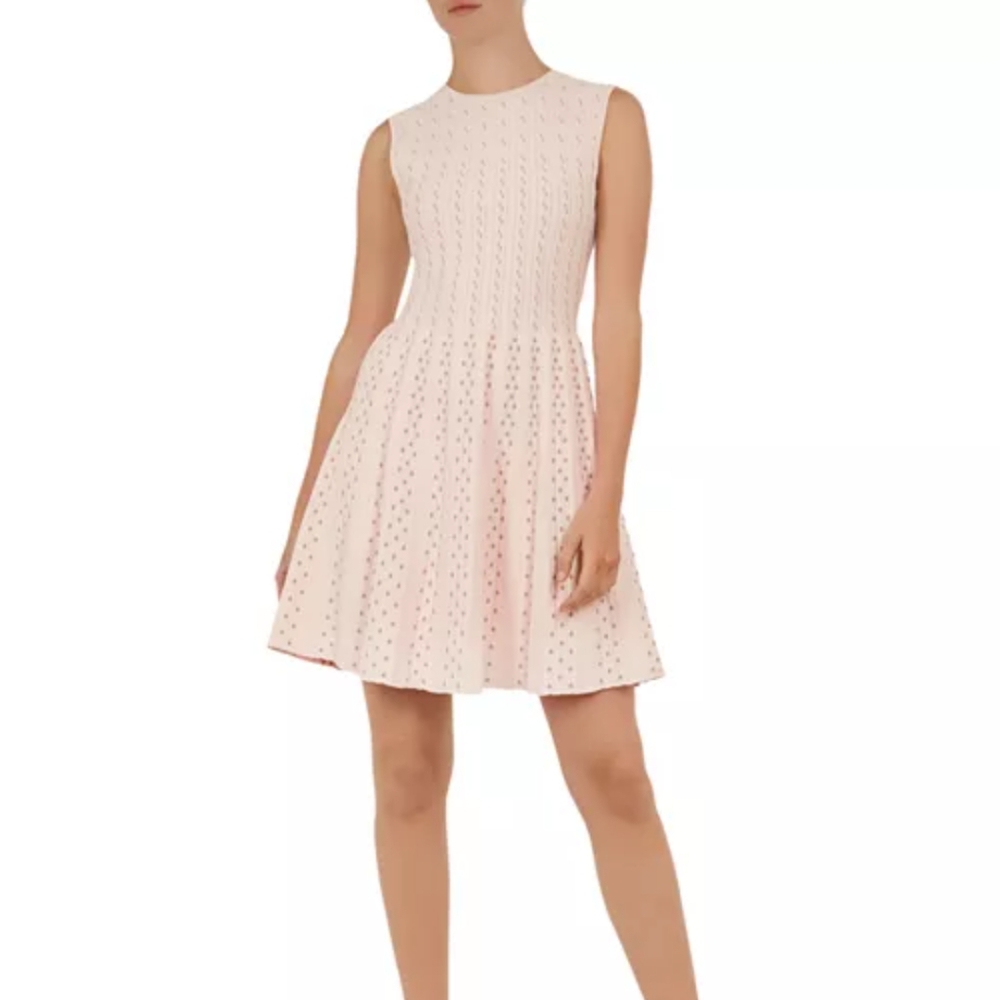 NEW Ted Baker London Vellia Pale Pink Knitted Flippy Skater Dress Size 10 Womens
